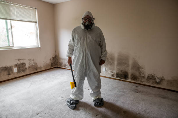 Best Toxic Mold Removal  in Wescosville, PA